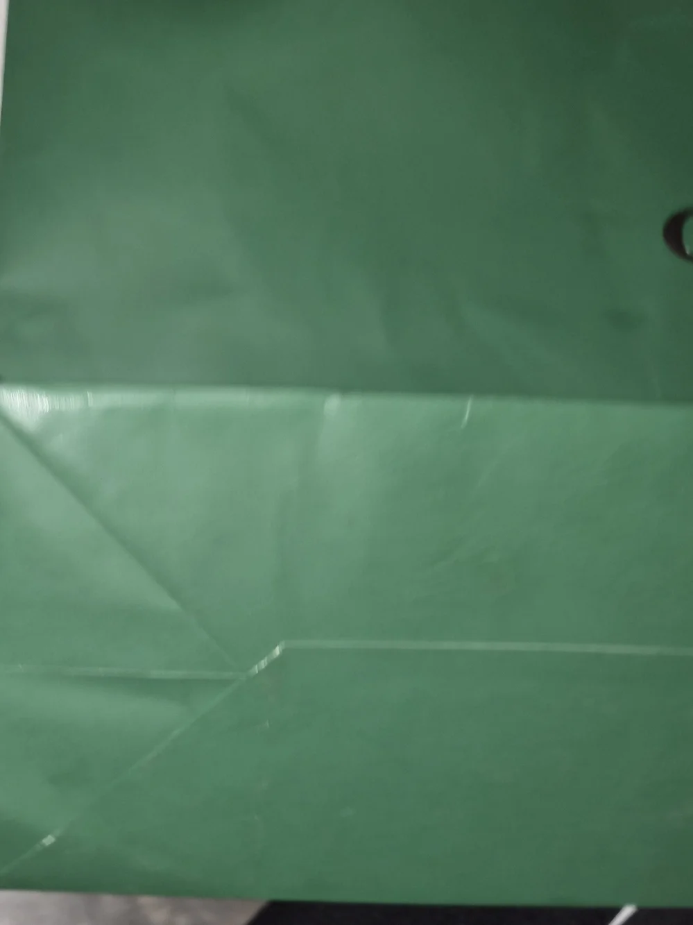 Authentic Goyard XL Green Paper Shopping Bag with Cards Ribbon Tag 23x19.5x6